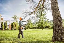 Reliable Chester, IL Tree Removal and Landscaping Services Solutions